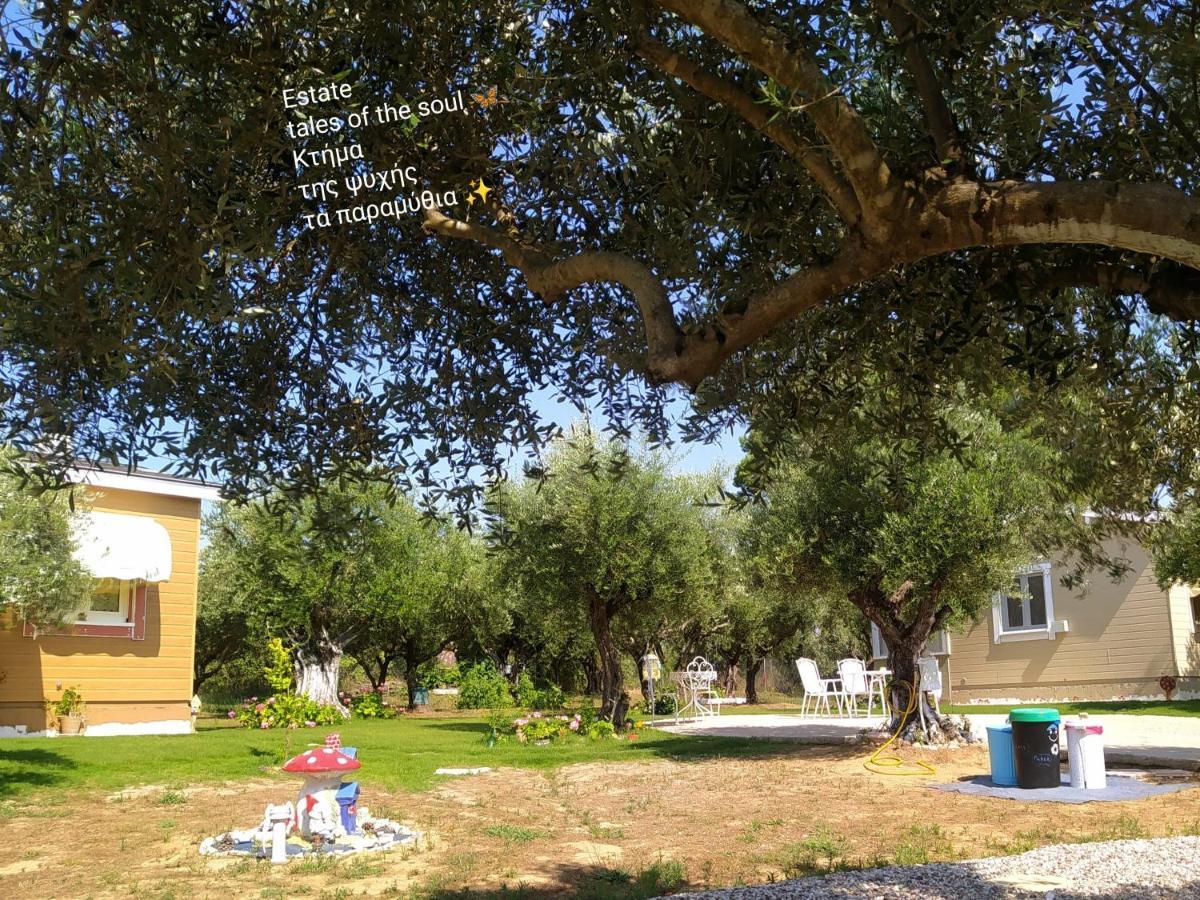 Bungalows With Private Pools "Tales Of The Soul - Της Ψυχής Τα Παραμύθια" Anemochori Exterior photo